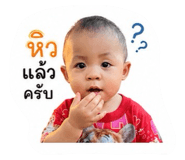 848604537