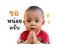 848604543