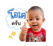 848604545