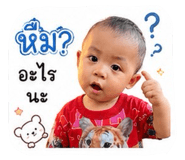 848604548