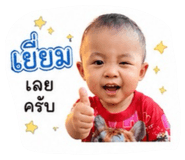 848604550