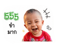 848604566