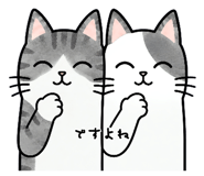 848613084