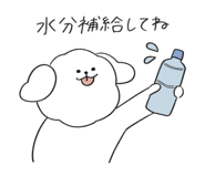 848613756