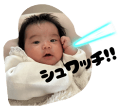 848623731