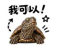 848628379