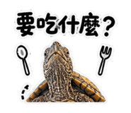 848628384