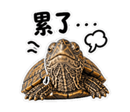 848628386