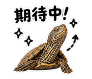848628401