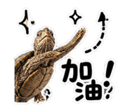 848628405