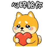 848636730