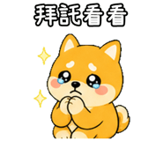 848636731
