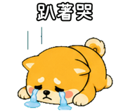 848636732