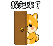 848636737