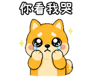 848636747