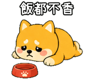 848636755