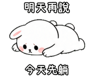 848638052