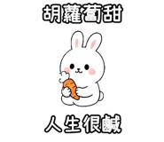 848638053