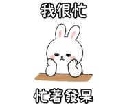 848638056