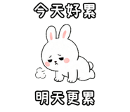 848638061