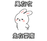 848638063