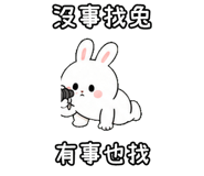 848638077