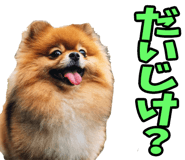 848640933
