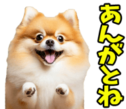 848640937