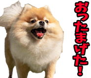 848640947