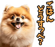 848640957