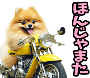 848640960