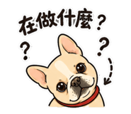 848643230