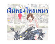 848647462