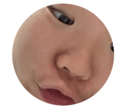 848660316