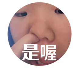 848660318