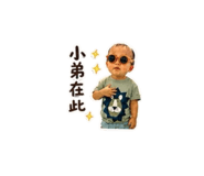 848661113