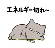848664094