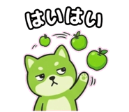 848664586