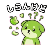 848664593