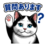 848664636