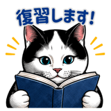 848664638