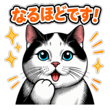 848664639