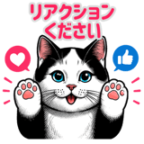 848664640