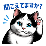848664643