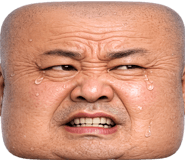 848665481