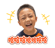 848682425