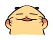 848720774