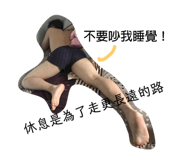 84873129