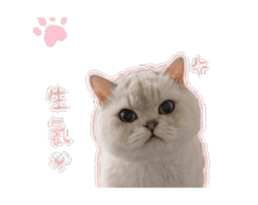848739371