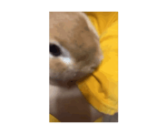 848758781